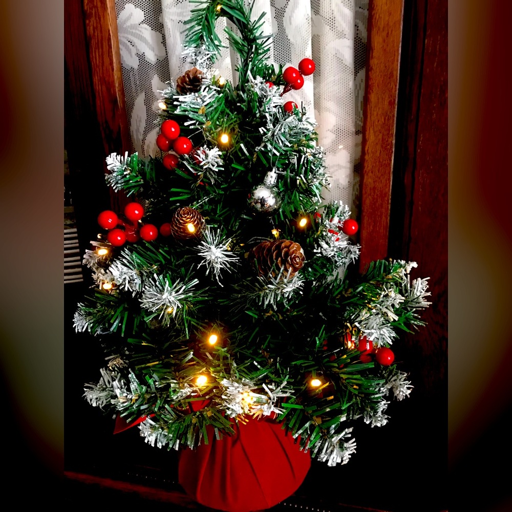 Mini Christmas tree with lights